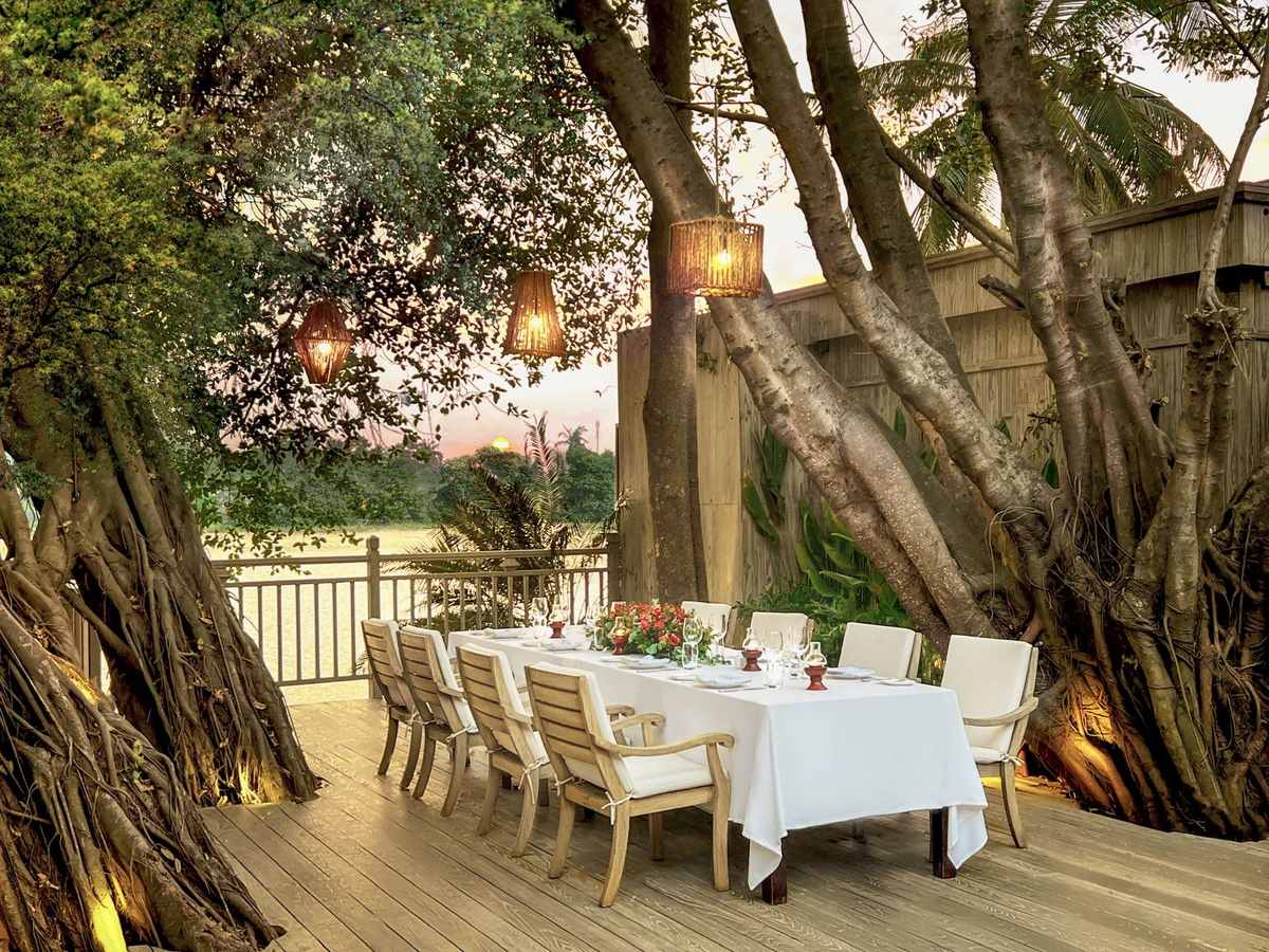 Dinner table laid with white linen on a deck between banyan roots beside the river