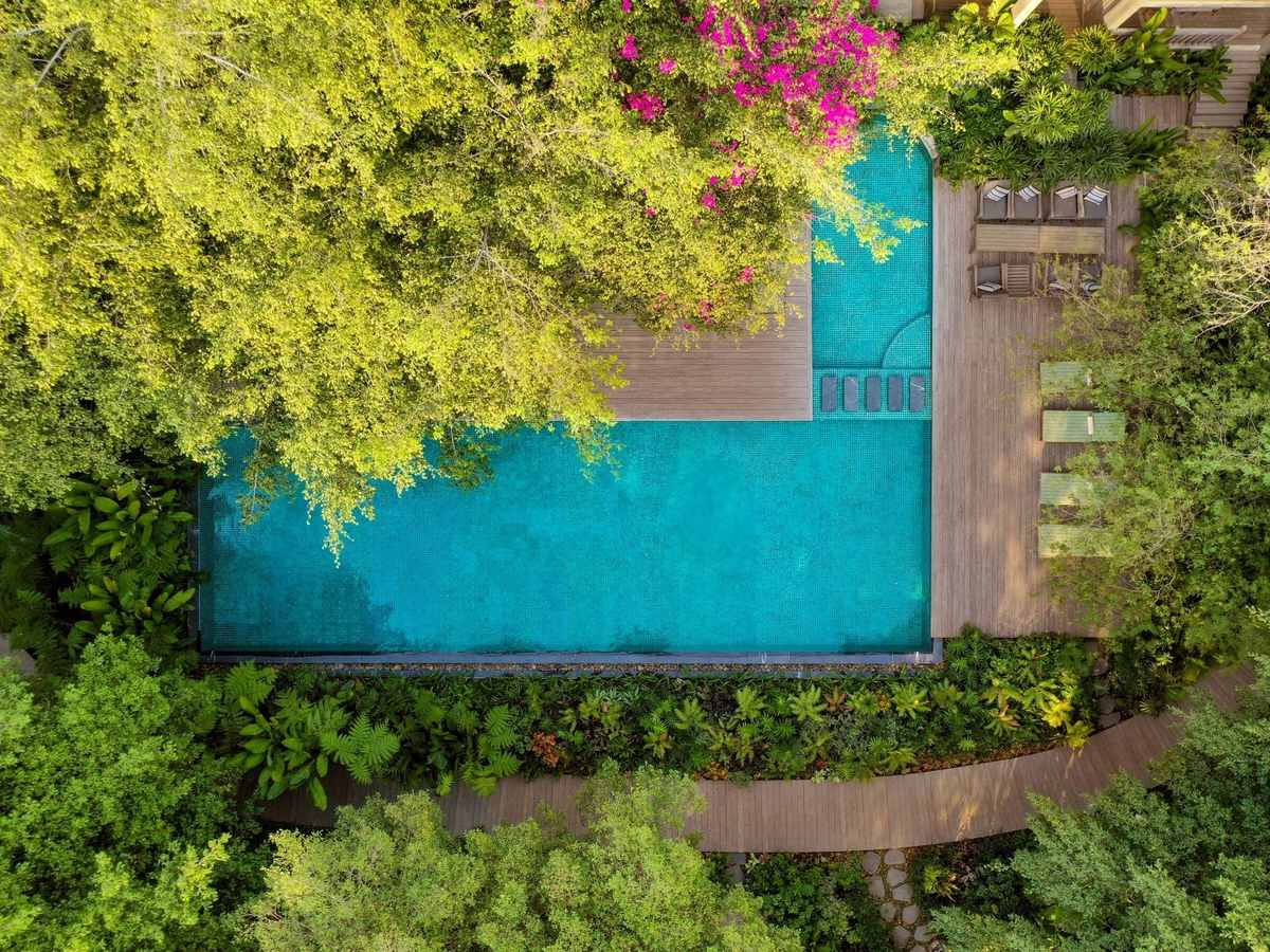 Aerial view of a rectangular turquoise pool framed by dense greenery and pink bougainvillea