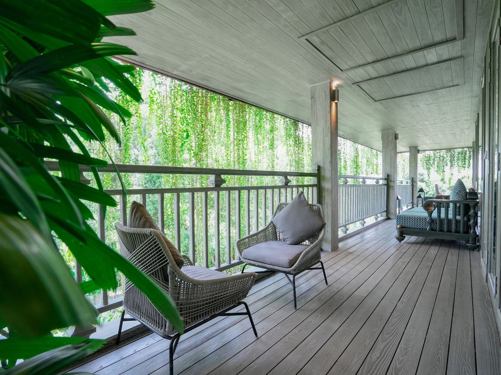 Long covered timber veranda with grey armchairs, curtains of hanging greenery and garden beyond