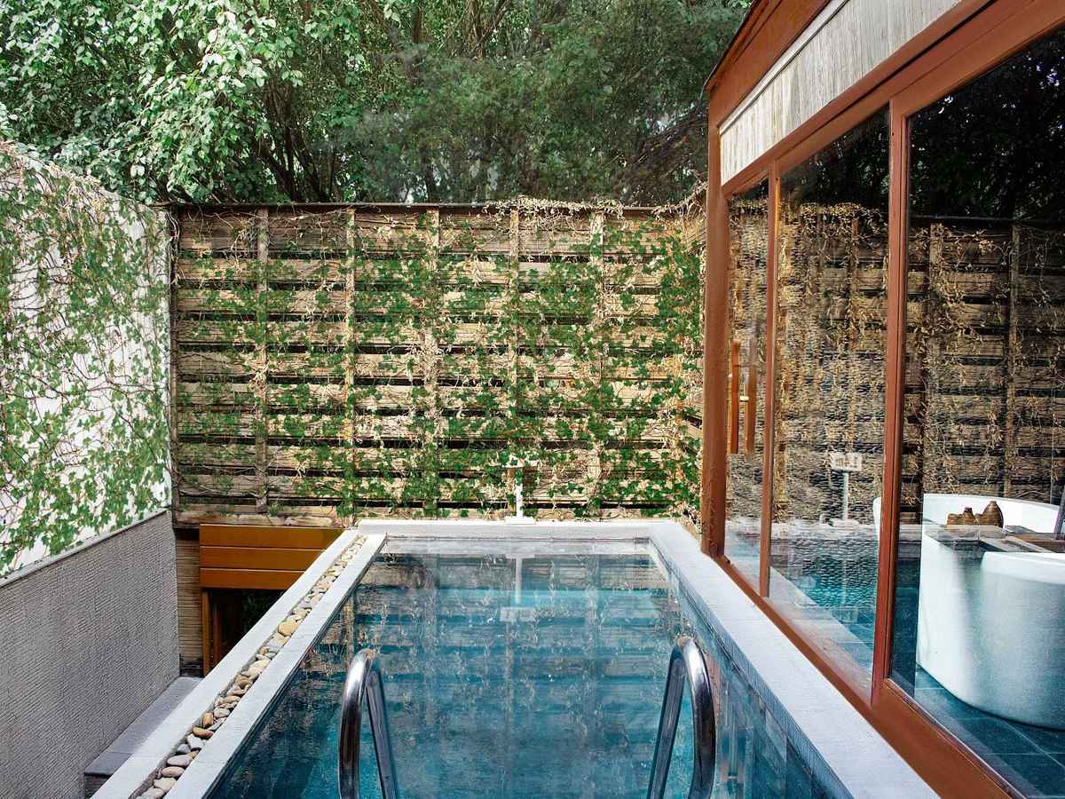 Long narrow private pool beside a living plant wall, with the suite&rsquo;s glass doors open