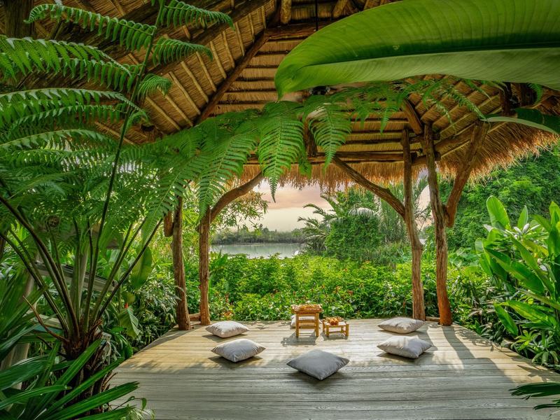 Open-sided yoga pavilion with floor cushions under giant tropical leaves